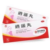 逍遥丸(世一堂)