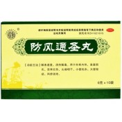 防风通圣丸(长垣)