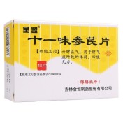 十一味参芪片(金盟)