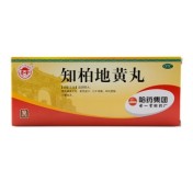 知柏地黄丸(世一堂)