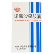 诺氟沙星胶囊(难老泉)