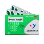 参乌健脑胶囊(石四药)