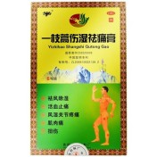 一枝蒿伤湿祛痛膏(卫洁)