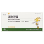 痫愈胶囊(致康)