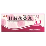 桂枝茯苓丸(牧霖)