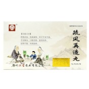 疏风再造丸(漢寶)