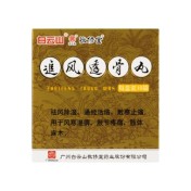 追风透骨丸(敬修堂)