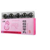 桂枝茯苓丸(立效)