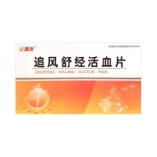 追风舒经活血片(金盖克)