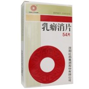 乳癖消片(沈阳红药)