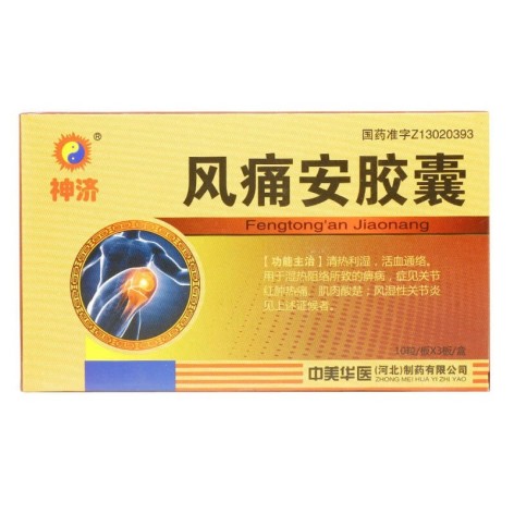风痛安胶囊(神济)包装主图
