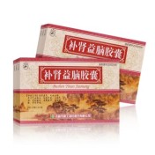 补肾益脑胶囊(龙潭山)