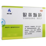 银黄颗粒(升和)