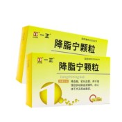 降脂宁颗粒(一正)