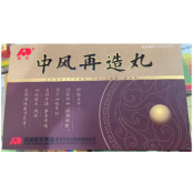 中风再造丸(敖东)