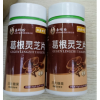 葛根灵芝片(李时珍)