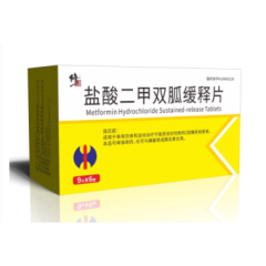 盐酸二甲双胍缓释片(修正)