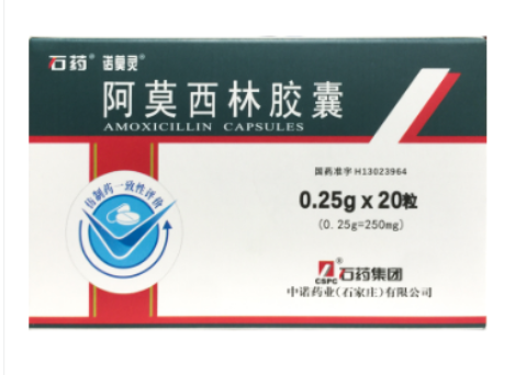 阿莫西林胶囊(石药)