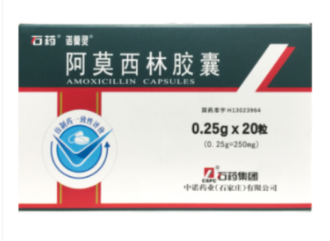 阿莫西林胶囊(石药)包装主图
