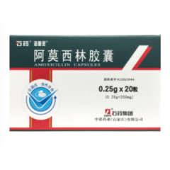 阿莫西林胶囊(石药)
