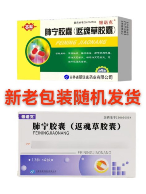 肺宁胶囊(银诺克)包装主图