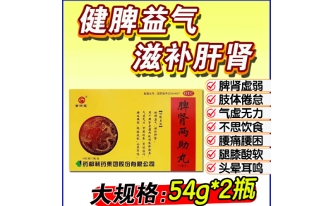 脾肾两助丸(普济堂)主图