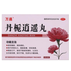 丹栀逍遥丸(万通)