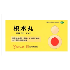 枳术丸(达仁堂)