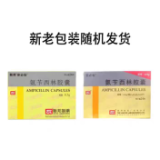 氨苄西林胶囊(联邦)