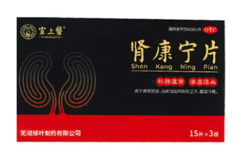肾康宁片(宣上医)