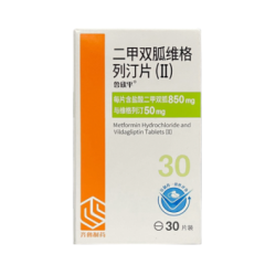 二甲双胍维格列汀片（II）(鲁欣平)