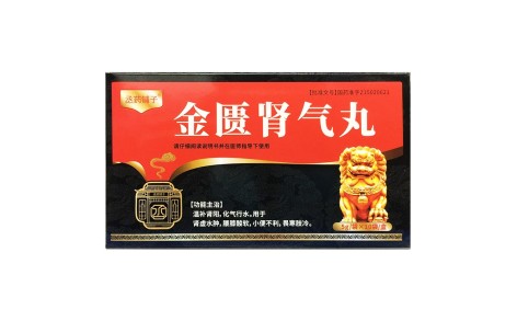 金匮肾气丸(丞药铺子)主图