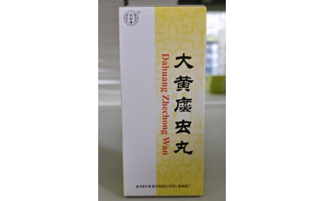 大黄䗪虫丸(同仁堂)主图