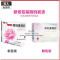 保妇康凝胶(艾昔你)包装缩略图1