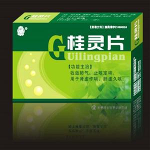 桂灵片(经开)